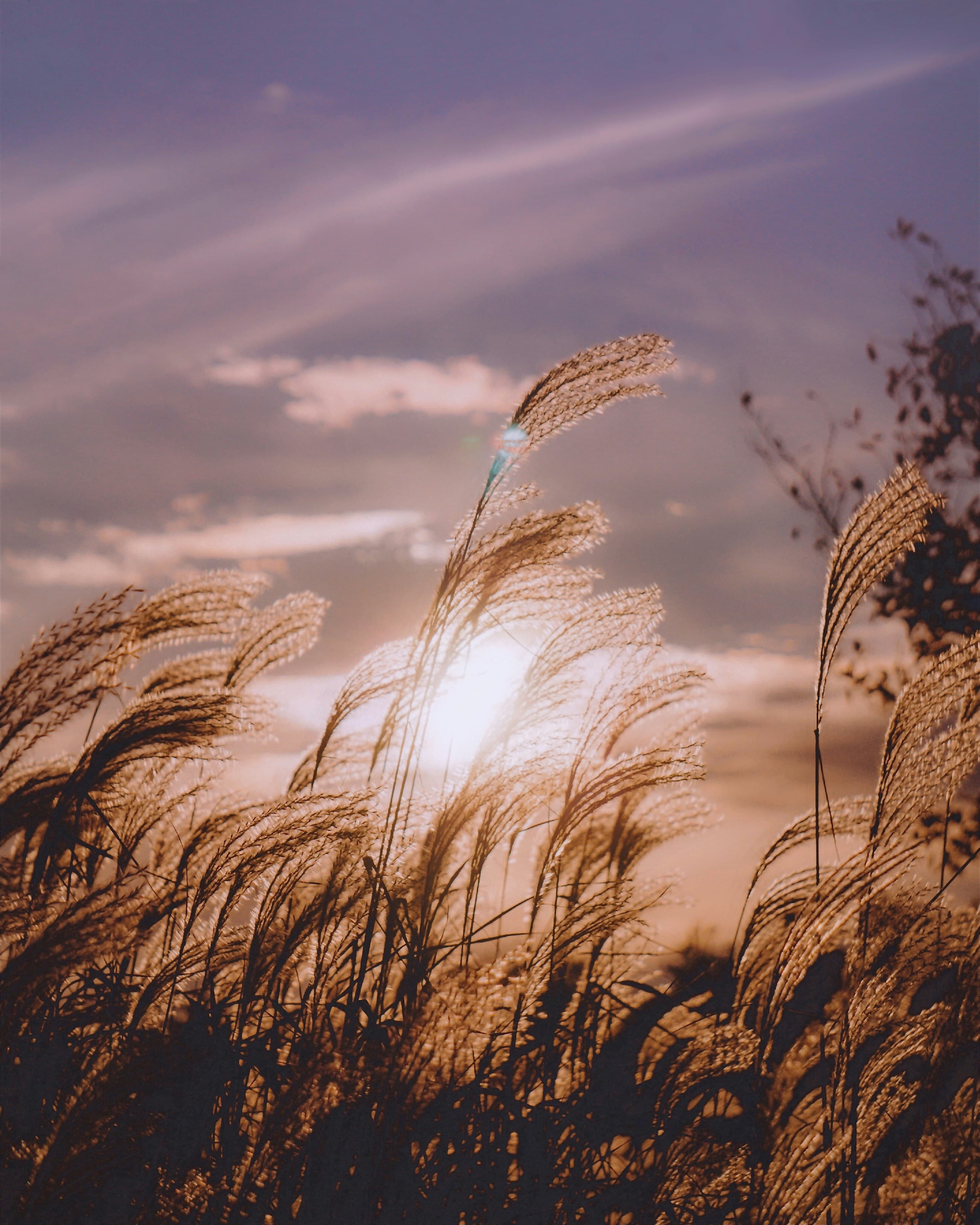 Psychologische Beratung Schaffhausen - Nathalie Schabus - Ruhige Beratungsumgebung für innere Balance